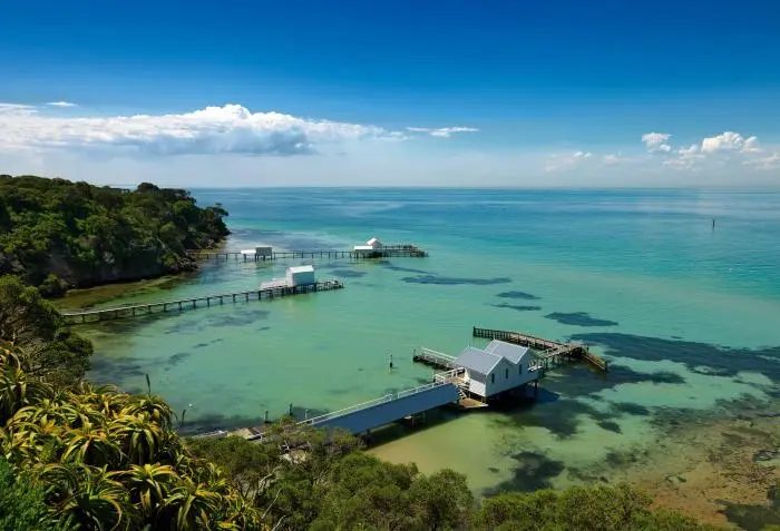 1.5 hour Scenic Wildlife Adventure Cruise water activities in Melbourne, Victoria, Australia