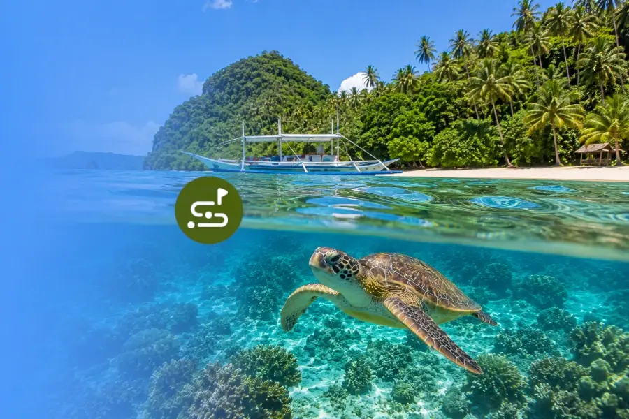 Port Barton Islandhopping to Reefs and Turtles in Guided Tour in Port Barton, Palawan, Philippines