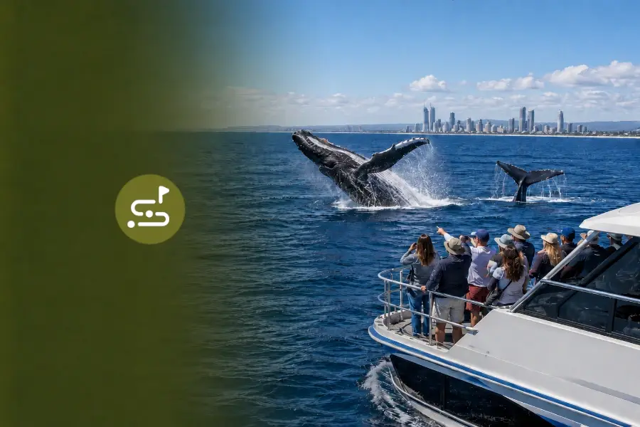 Whale watching cruise from the Gold Coast in Guided Tour in Gold Coast, Queensland, Australia