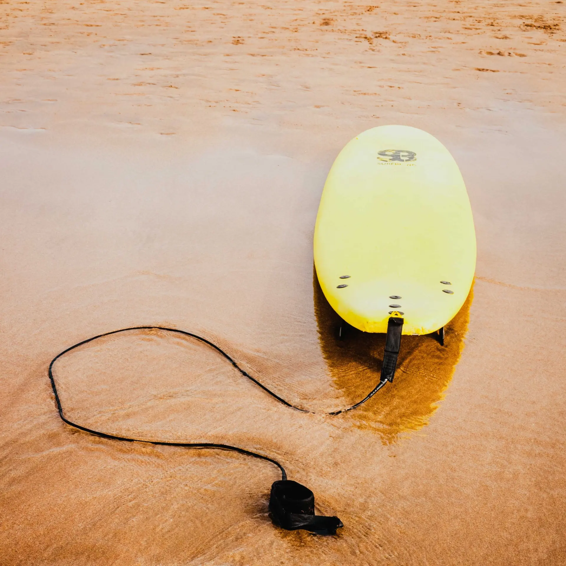 Softboard and Wetsuit Rental in Matosinhos image 3