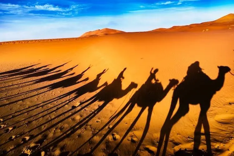 4-Day Fes to Marrakech Desert Tour image 3