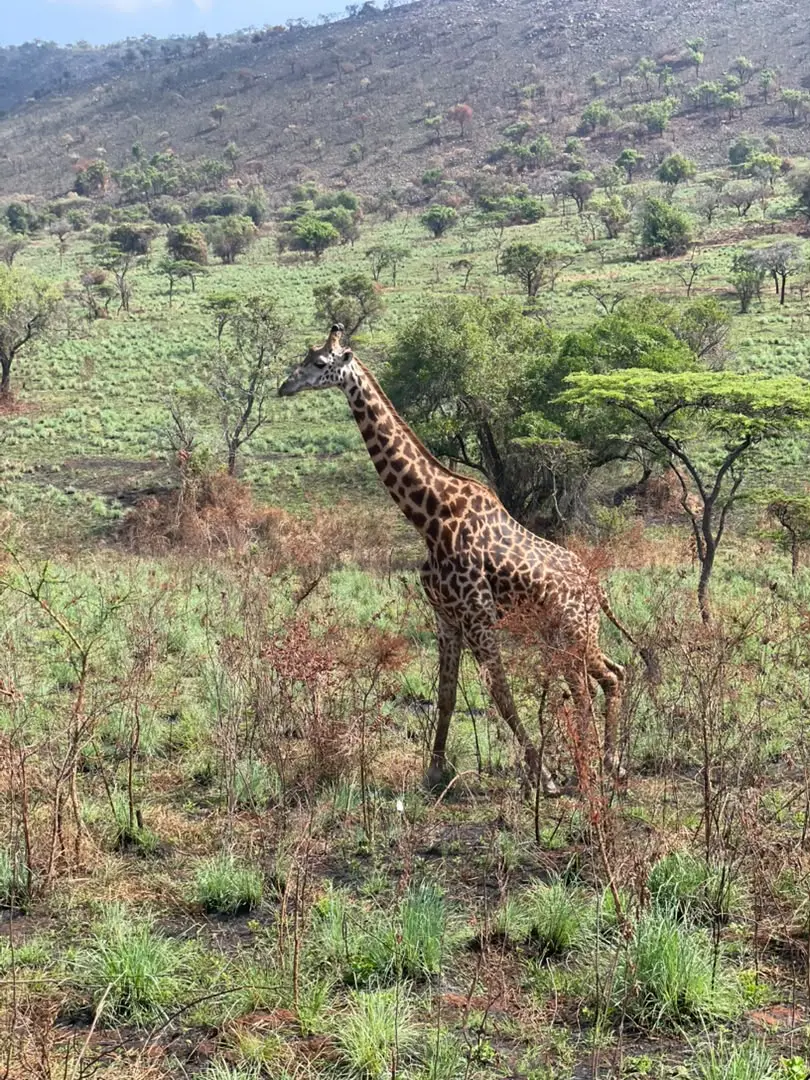 3-Day Rwanda Tour image 2