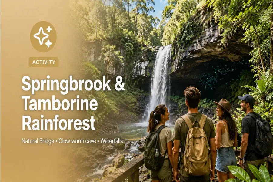 Springbrook NP & Tamborine RF with Glow Worm Cave in Guided Tour in Upper Crystal Creek, Queensland, Australia