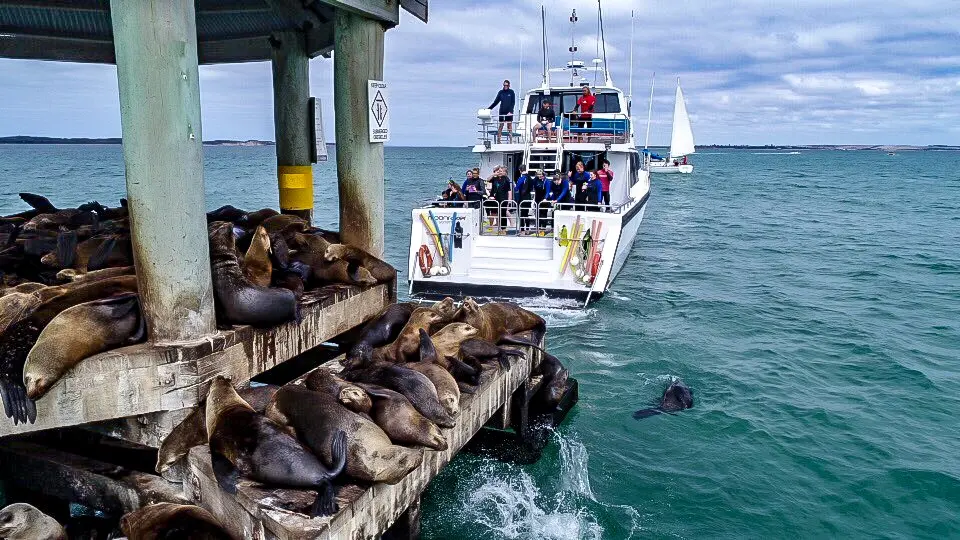 1.5 hour Scenic Wildlife Adventure Cruise image 2