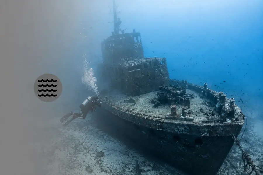 Diving the Epic ex-HMAS Brisbane in Water Activities in Sunshine Coast, Queensland, Australia