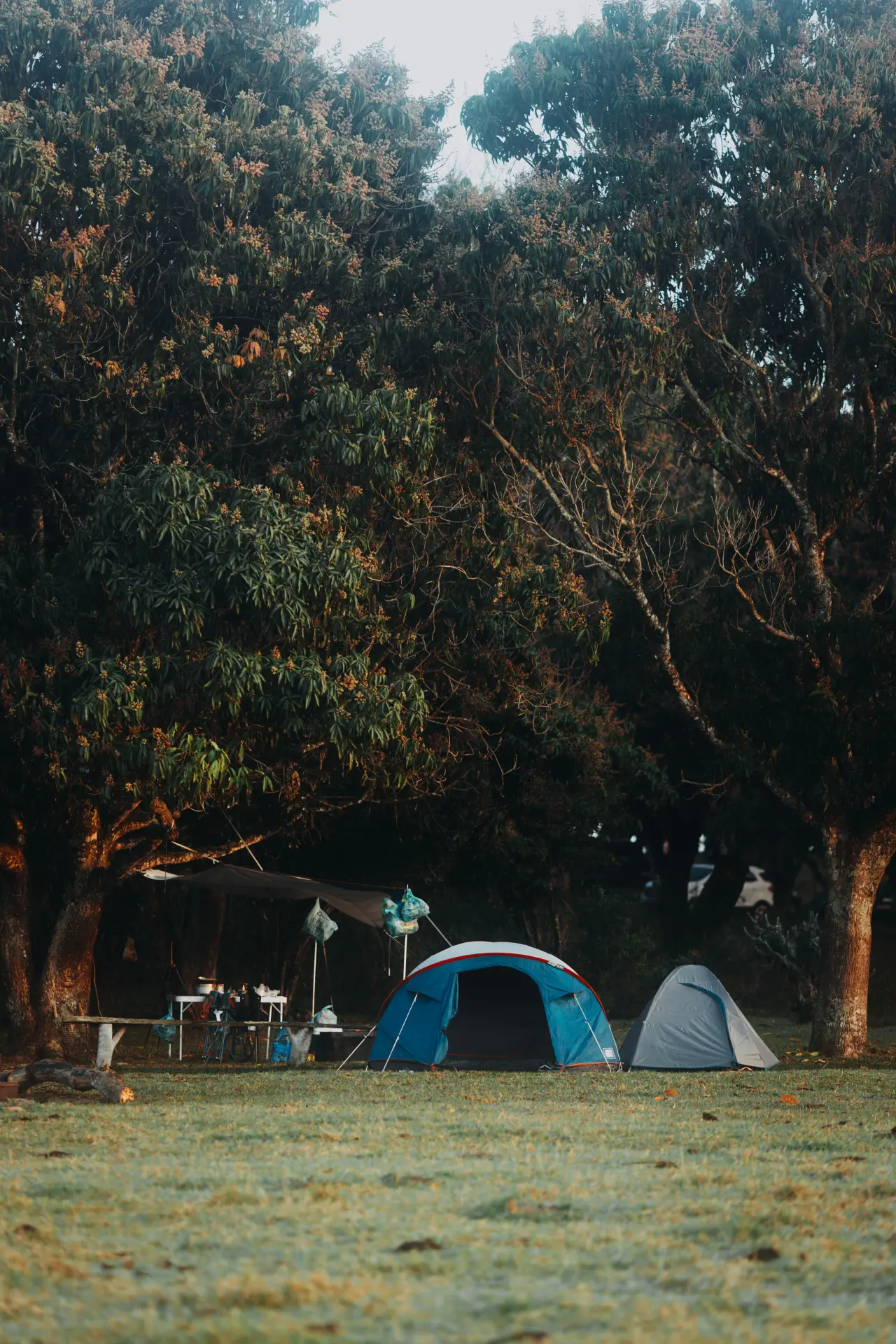 Quiet Camping Stops Around New Zealand image 2