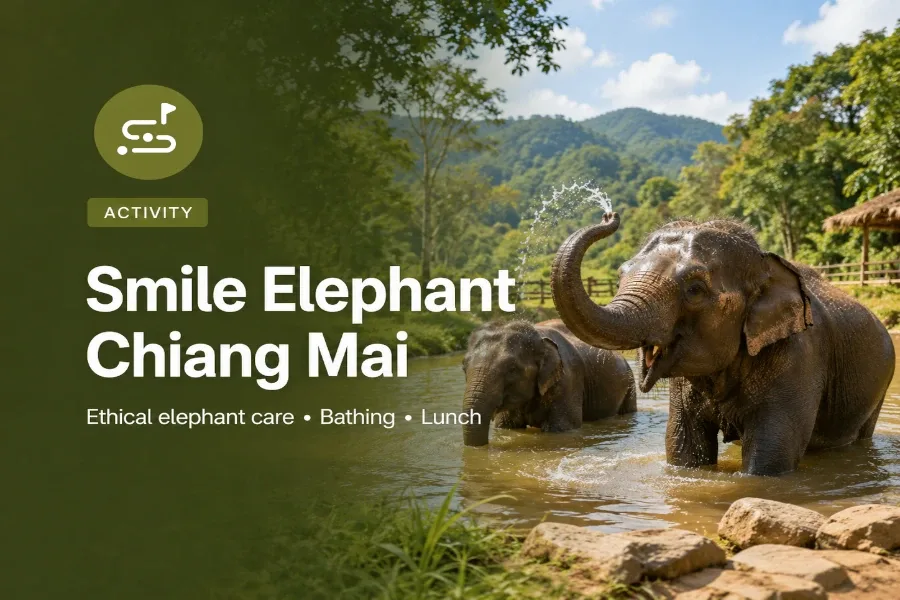 Elephant Sanctuary with transport in Guided Tour in Ban Kao Dua, Hang Dong District, Thailand